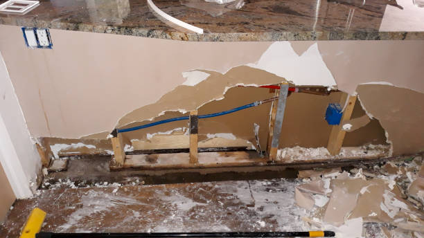 Best Basement water damage restoration  in Diboll, TX