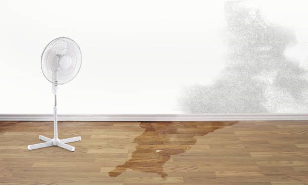 Carpet water damage restoration in Diboll, TX
