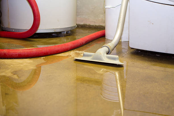 Best Water damage contractors near me  in Diboll, TX