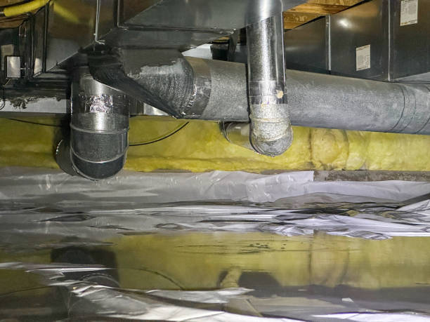 Best Water damage restoration near me  in Diboll, TX