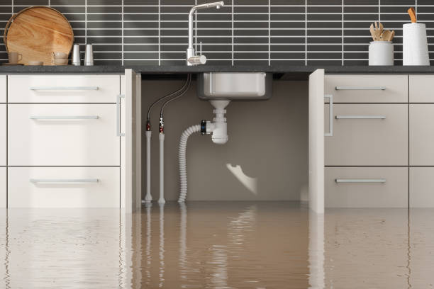 Best Local water damage restoration  in Diboll, TX