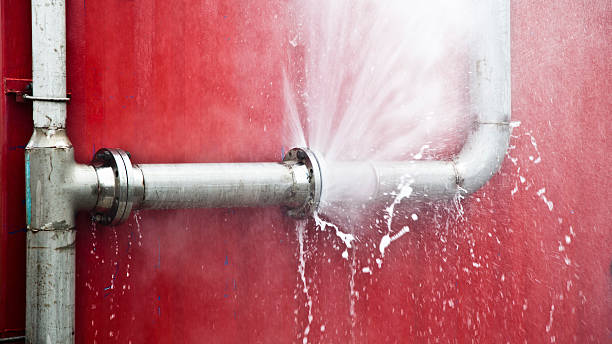 Best Mold removal after water damage  in Diboll, TX