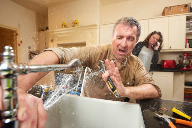 Best Flooded house restoration  in Diboll, TX